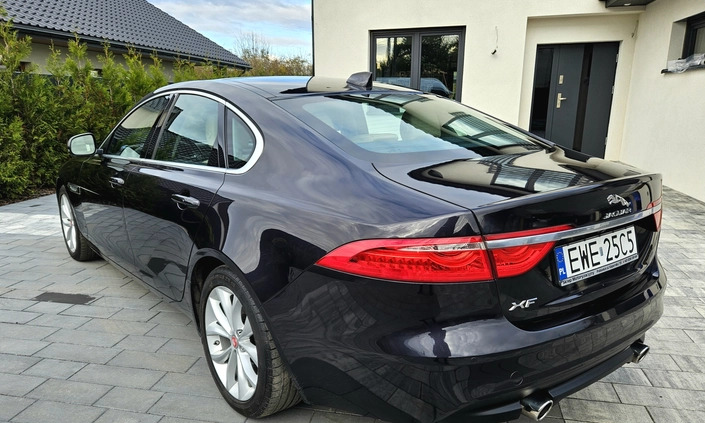 Jaguar XF cena 82900 przebieg: 53500, rok produkcji 2016 z Łódź małe 92